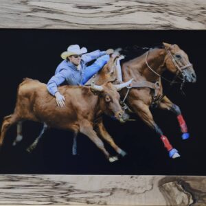 Bulldogger with Horse