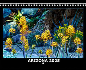 Arizona 2025 Calendars